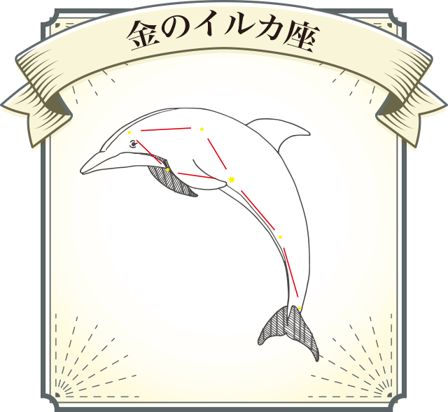 金のイルカ座