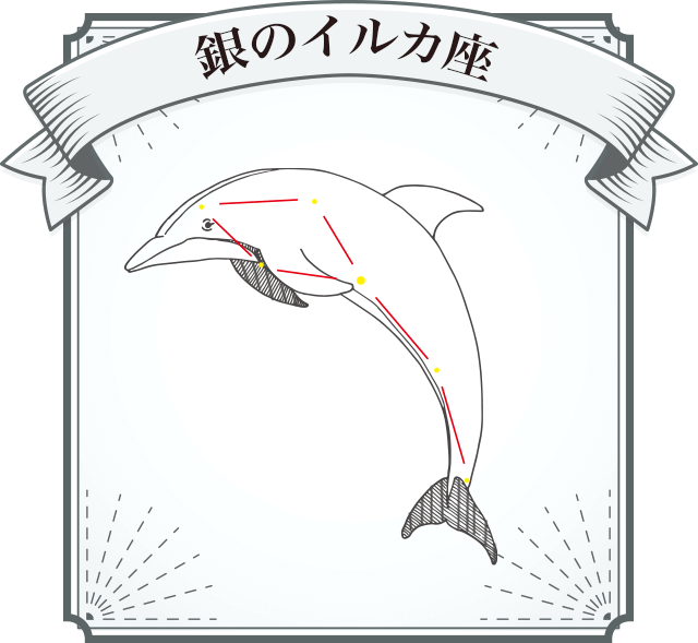 銀のイルカ座